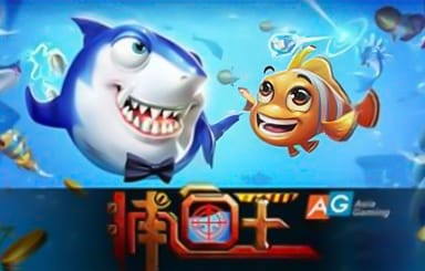 捕鱼王是一款经典的网络小游戏